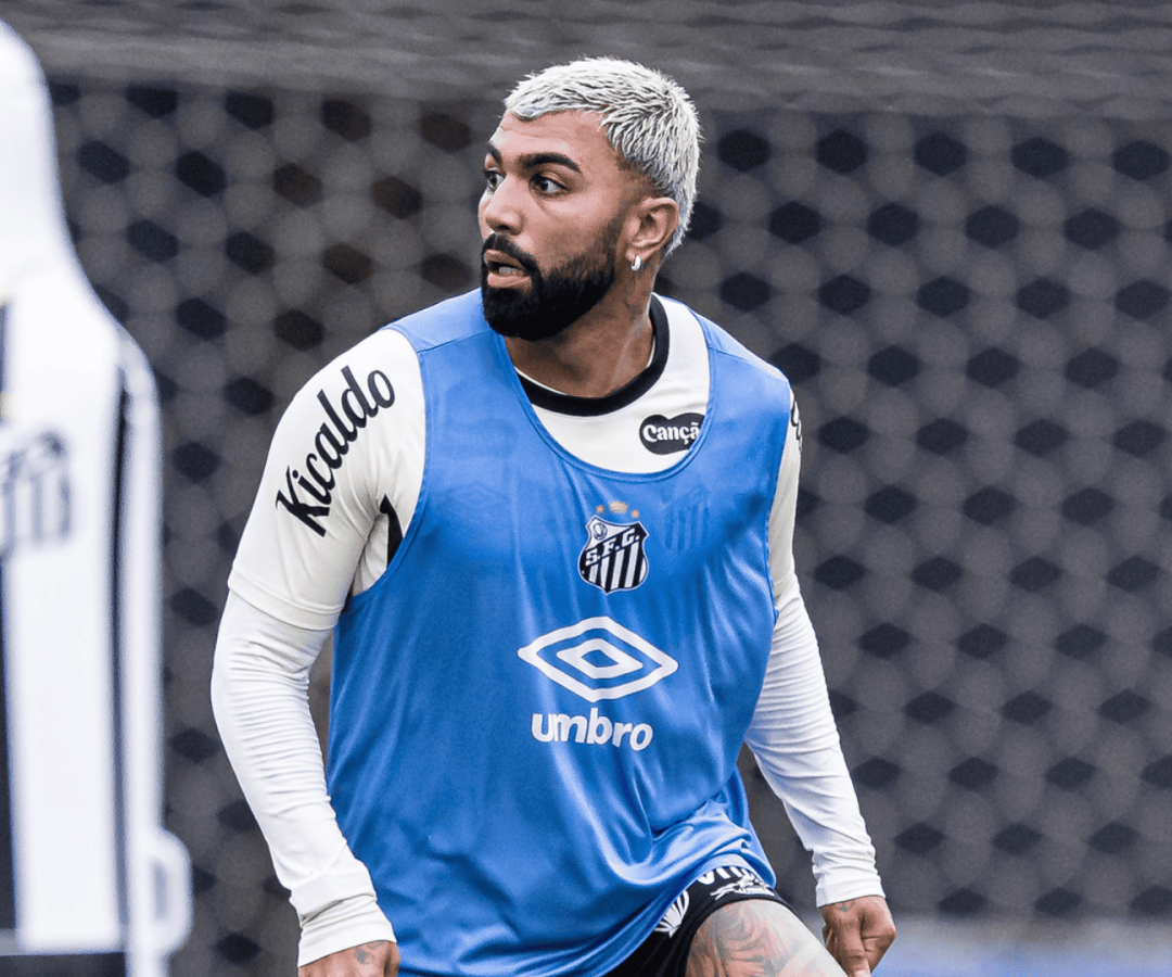 Foto: Raul Baretta / Santos FC