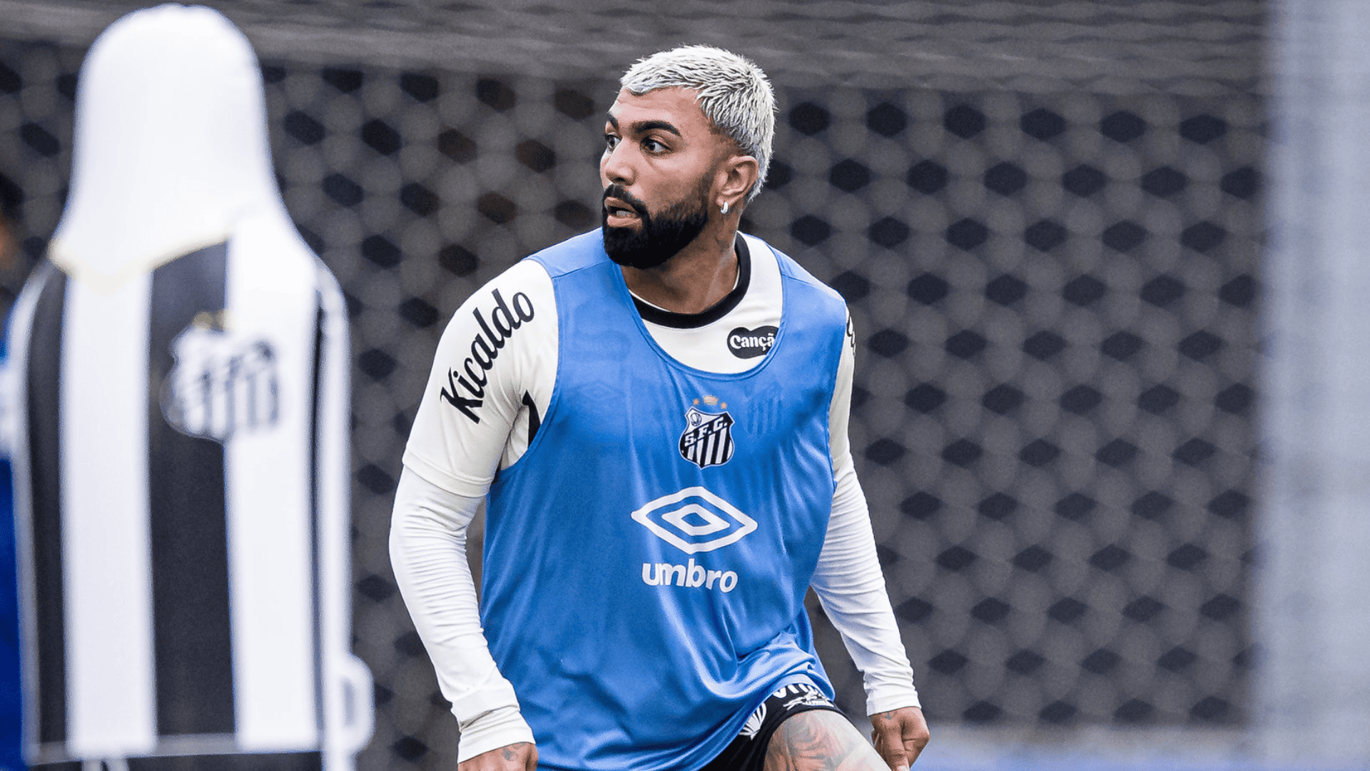 Foto: Raul Baretta / Santos FC