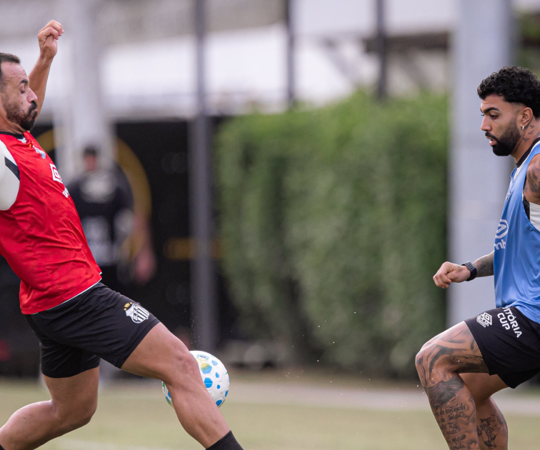 Foto: Raul Baretta / Santos FC
