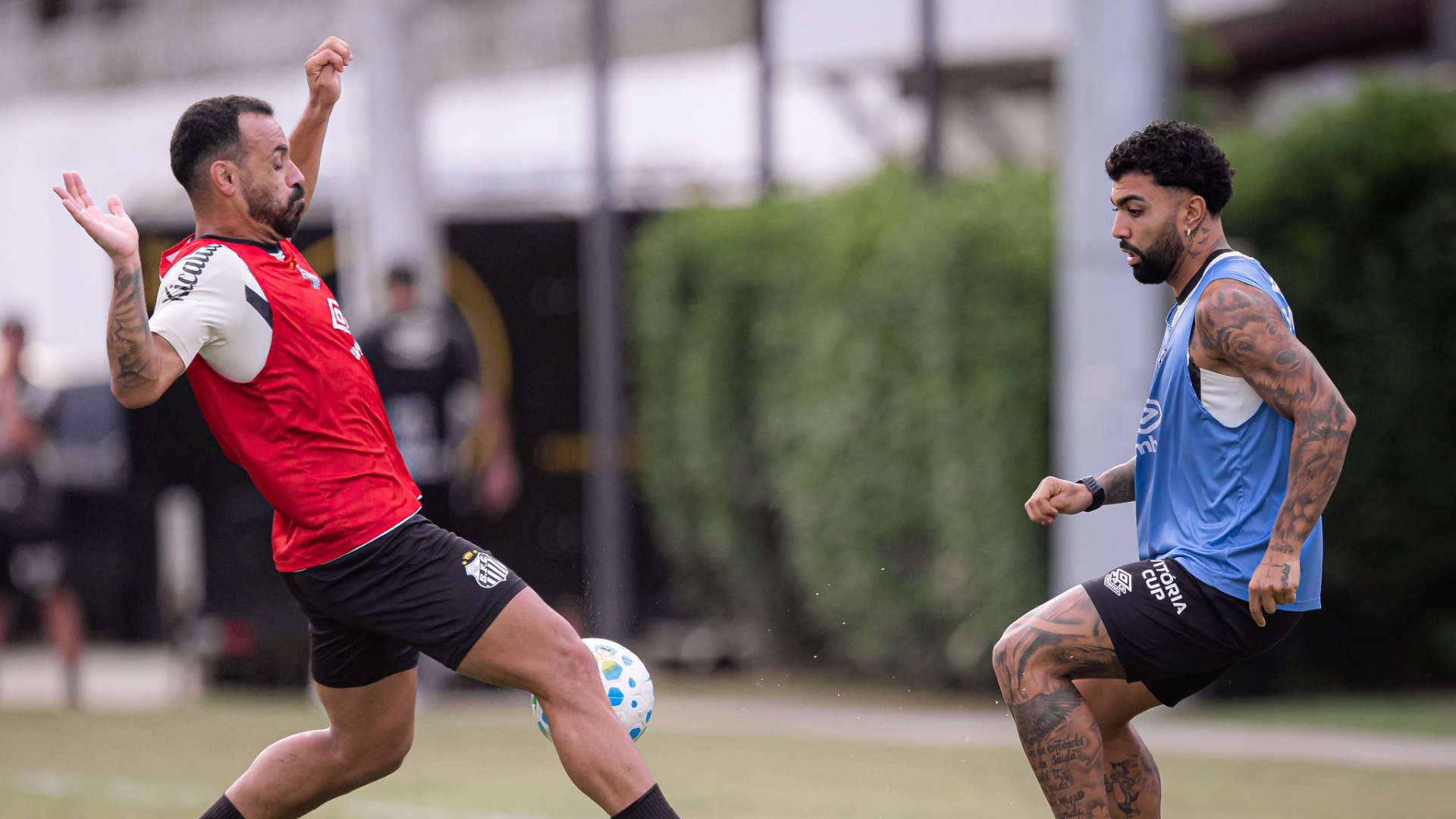 Foto: Raul Baretta / Santos FC