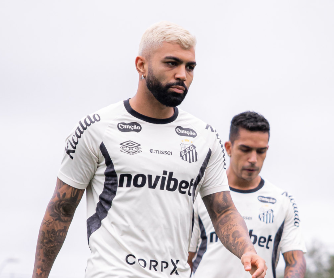 Foto: Raul Baretta / Santos FC