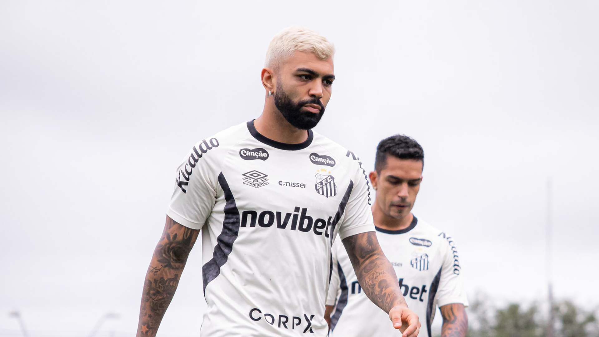 Foto: Raul Baretta / Santos FC