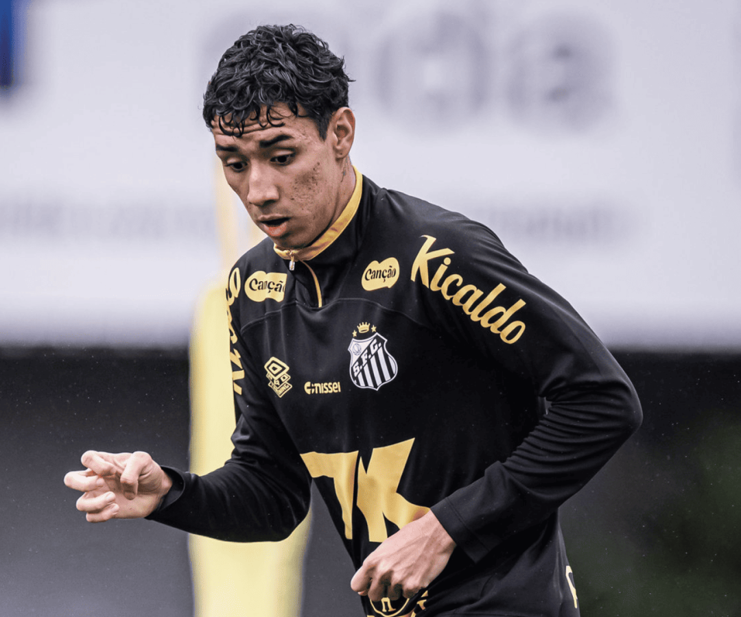 Foto: Raul Baretta / Santos FC