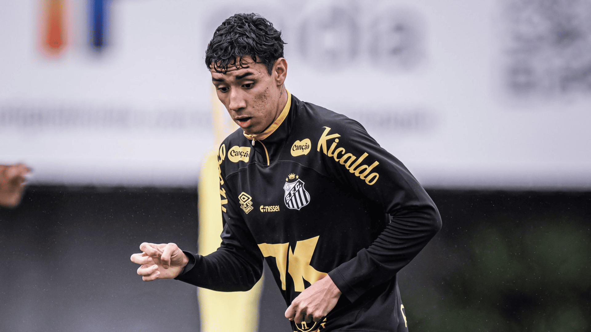 Foto: Raul Baretta / Santos FC