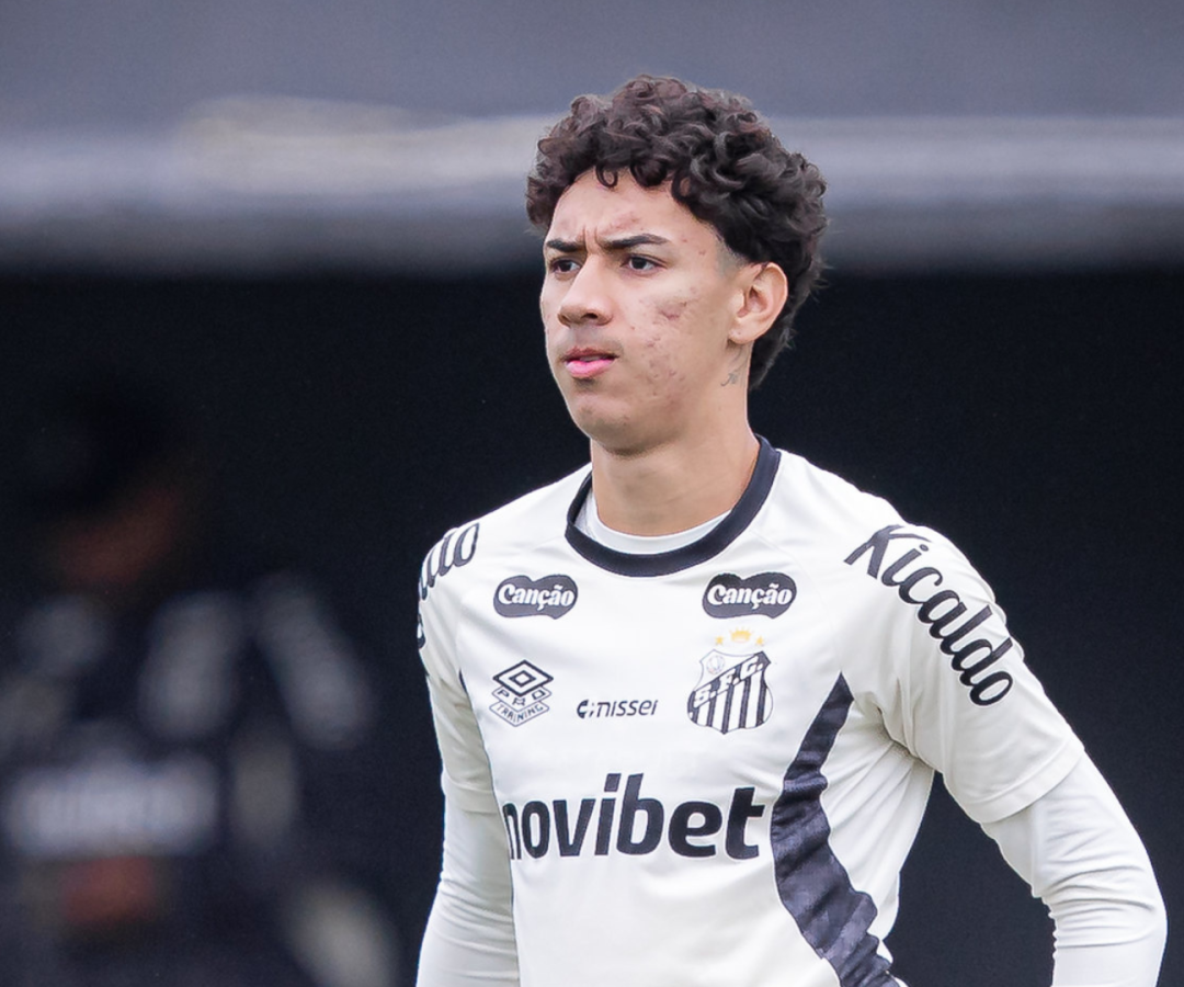 Foto: Raul Baretta / Santos FC