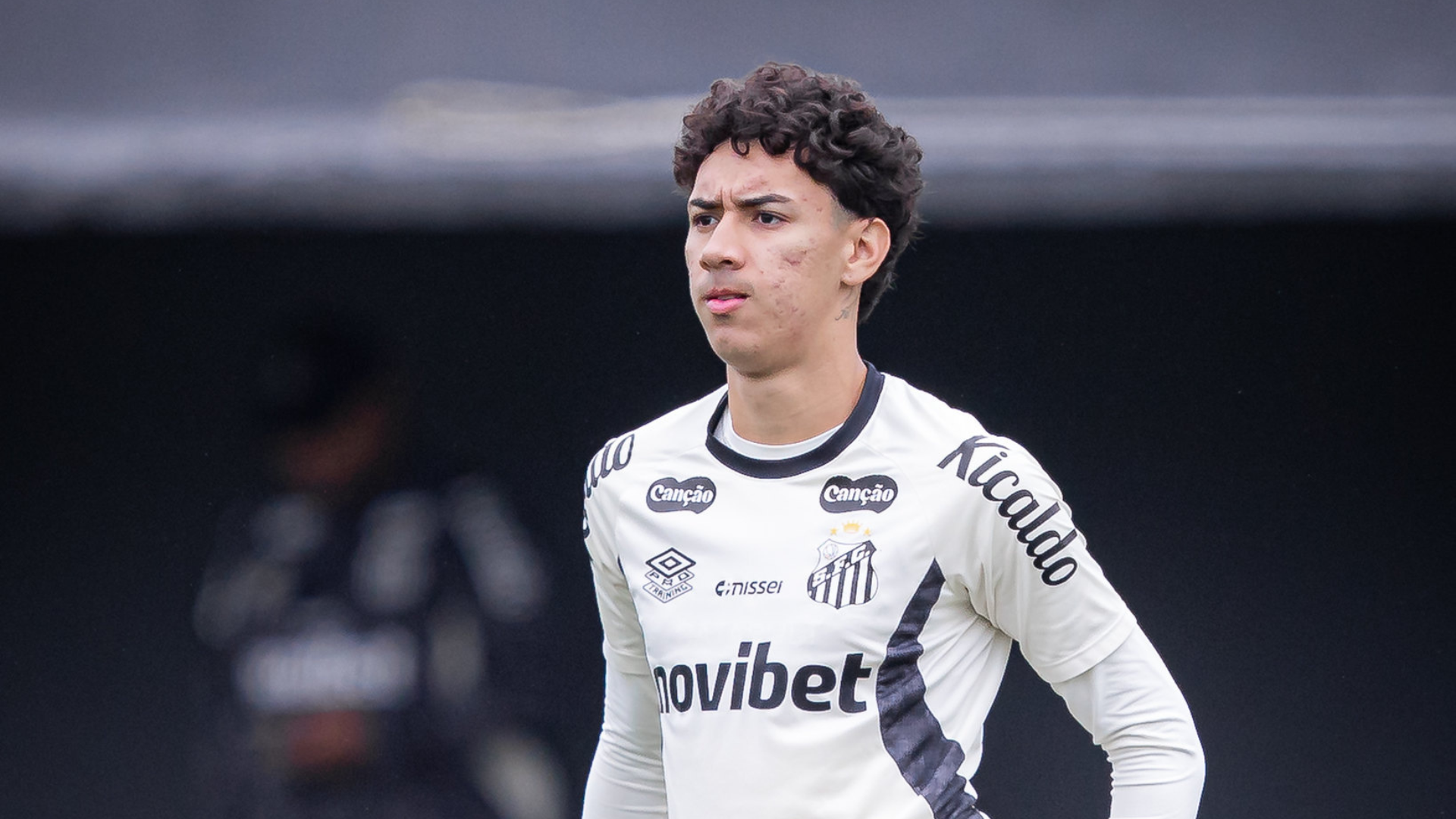Foto: Raul Baretta / Santos FC