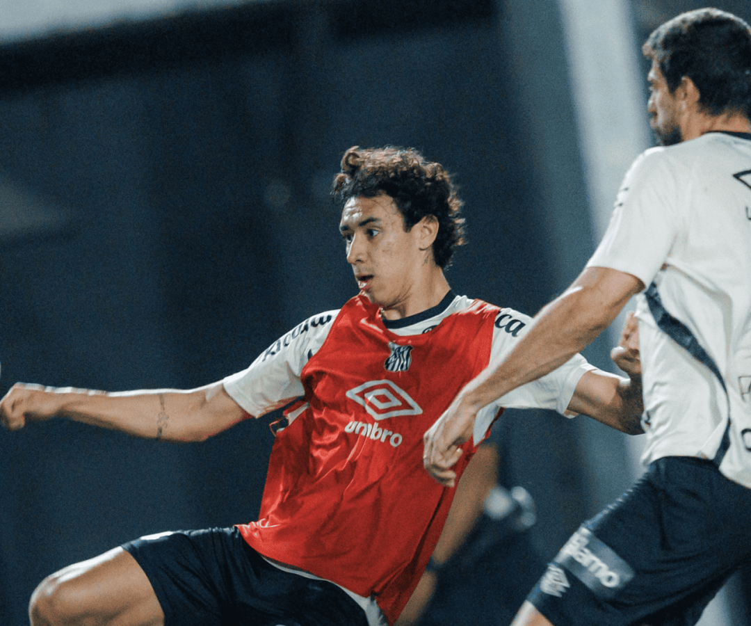 Foto: Raul Baretta / Santos FC