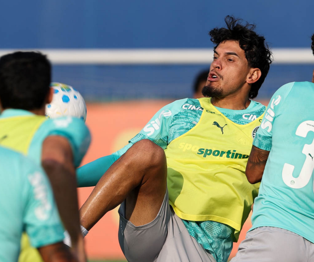 Foto: Cesar Greco / Palmeiras / by Canon