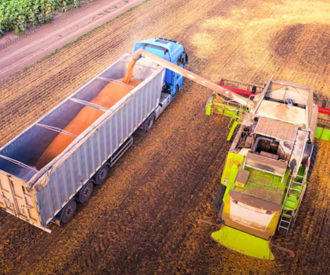 A safra de grãos no Brasil em 2024/25 deve alcançar a marca histórica de 332,9 milhões de toneladas. A estimativa é da Companhia Nacional...