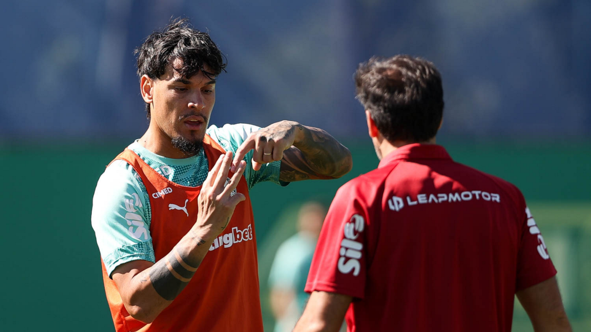 Foto: Cesar Greco / Palmeiras / by Canon