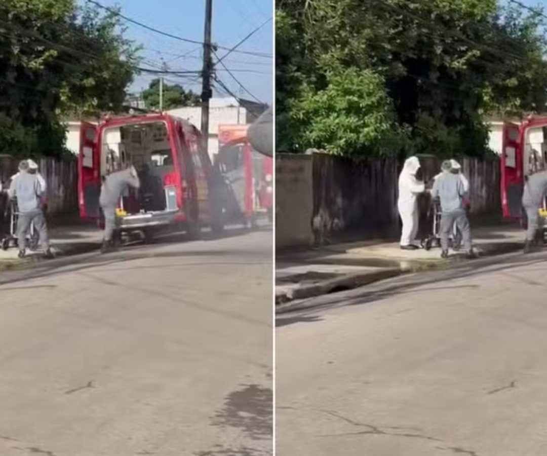 homem morre após ataque de enxame de abelhas