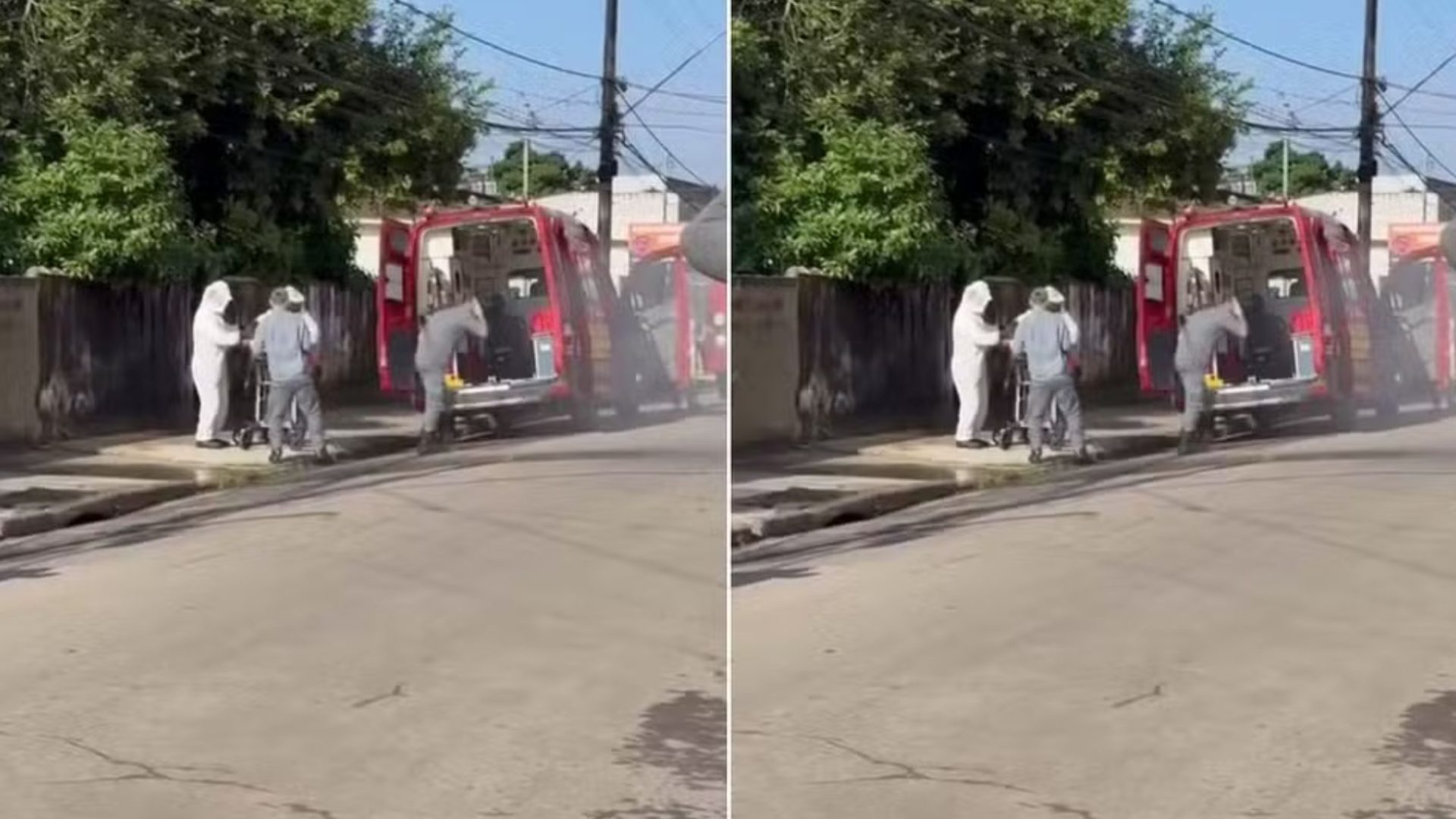 homem morre após ataque de enxame de abelhas