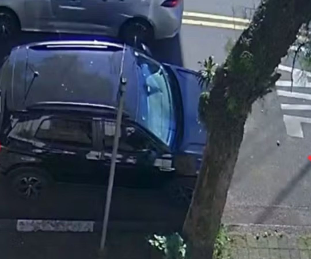 idosa atropelada em Santos