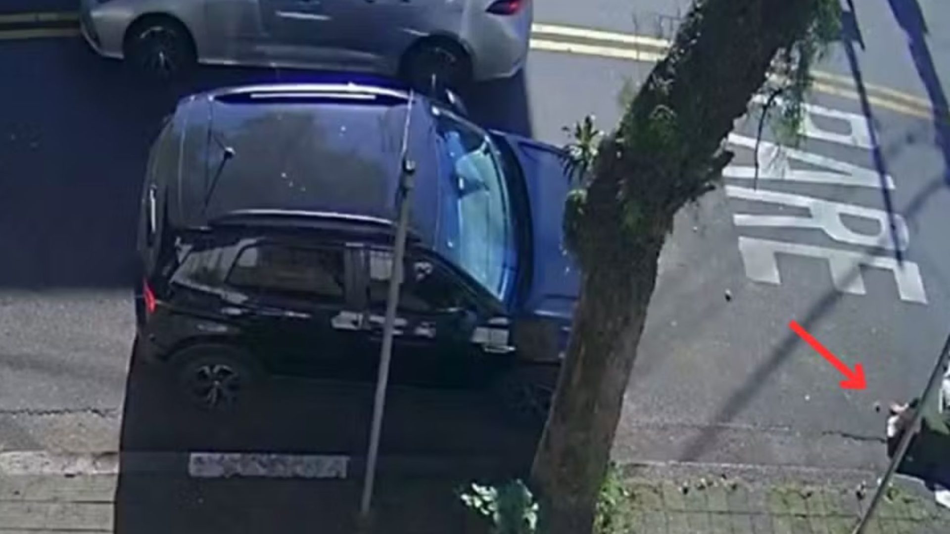 idosa atropelada em Santos