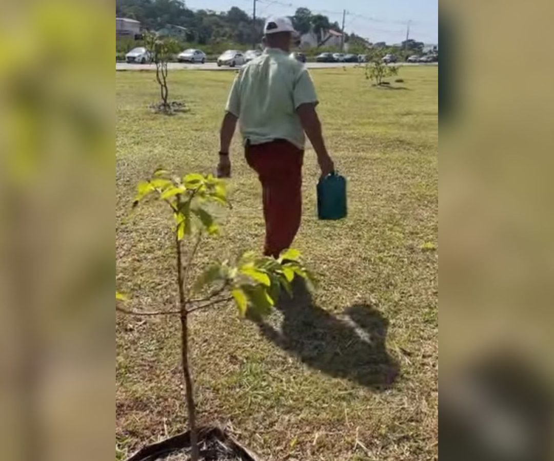 idoso planta árvores em Juiz de Fora