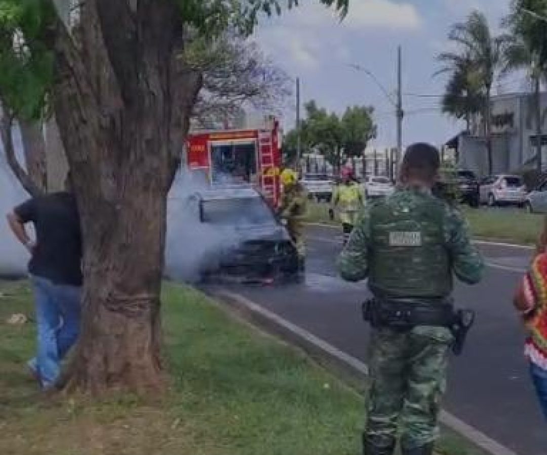 foto reprodução