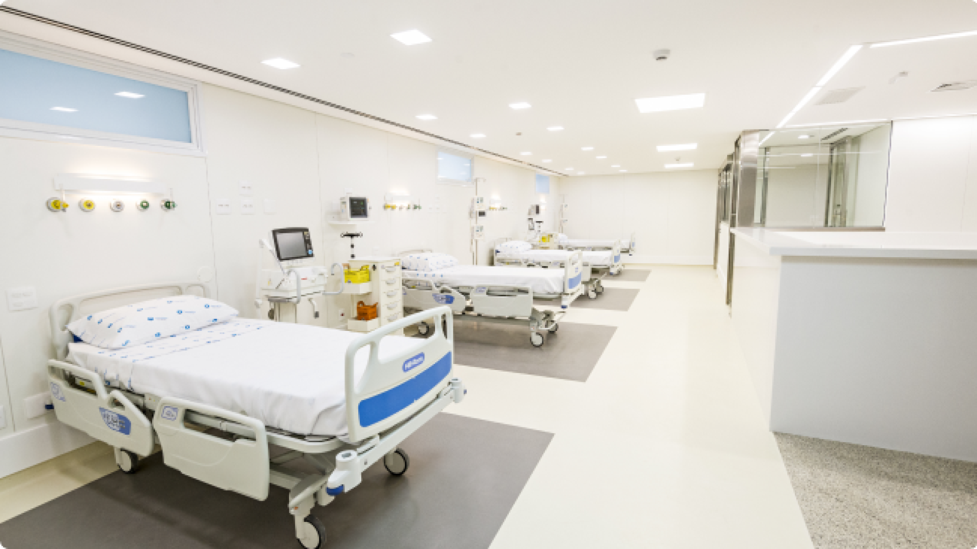 Foto: Reprodução Internet