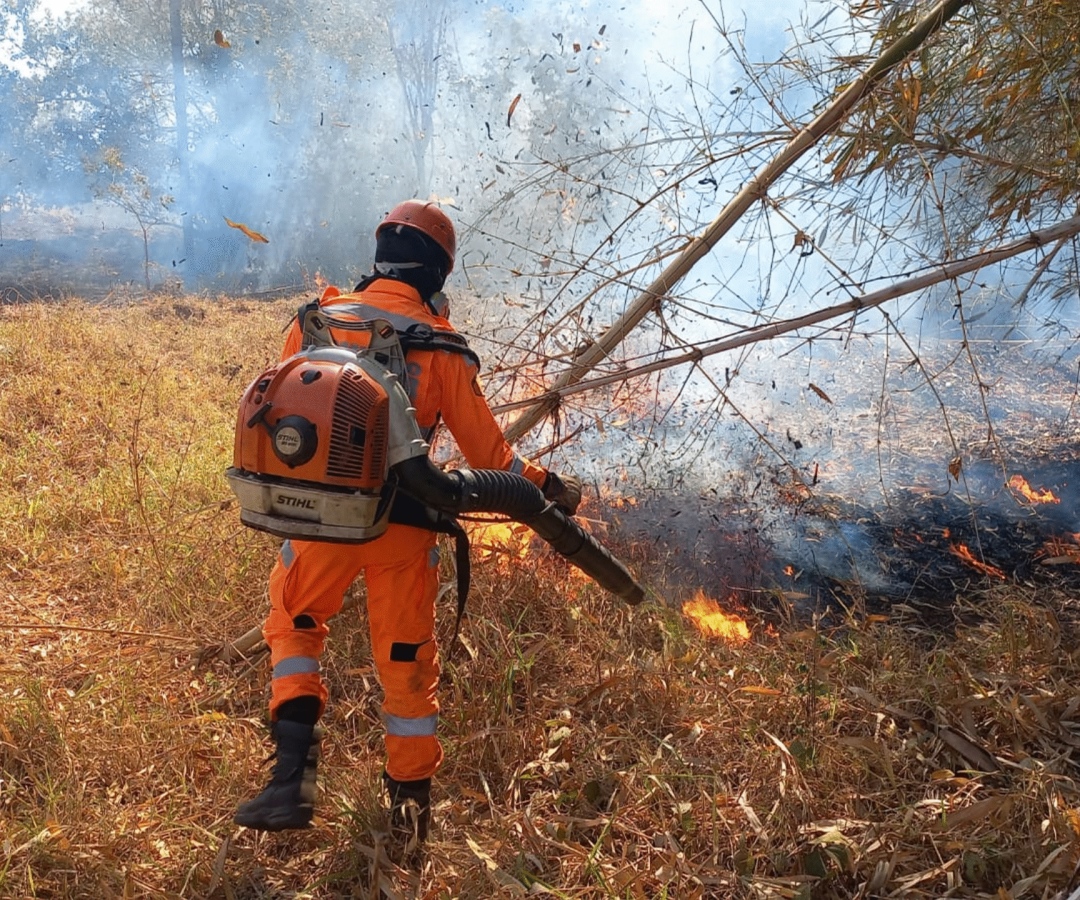 Bombeiros de Ituiutaba combatem dois incêndios em vegetação em menos de 24h