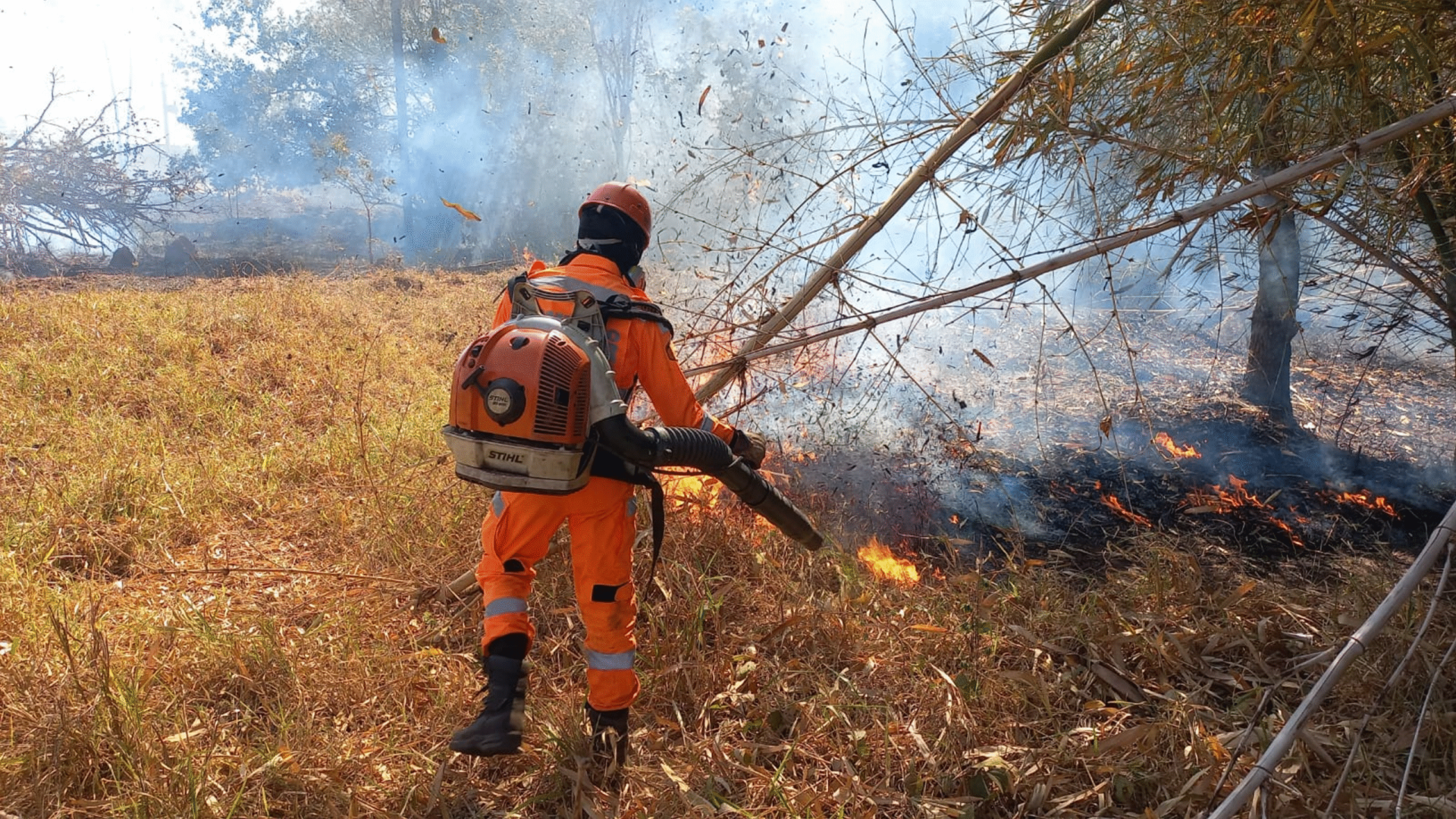 Bombeiros de Ituiutaba combatem dois incêndios em vegetação em menos de 24h