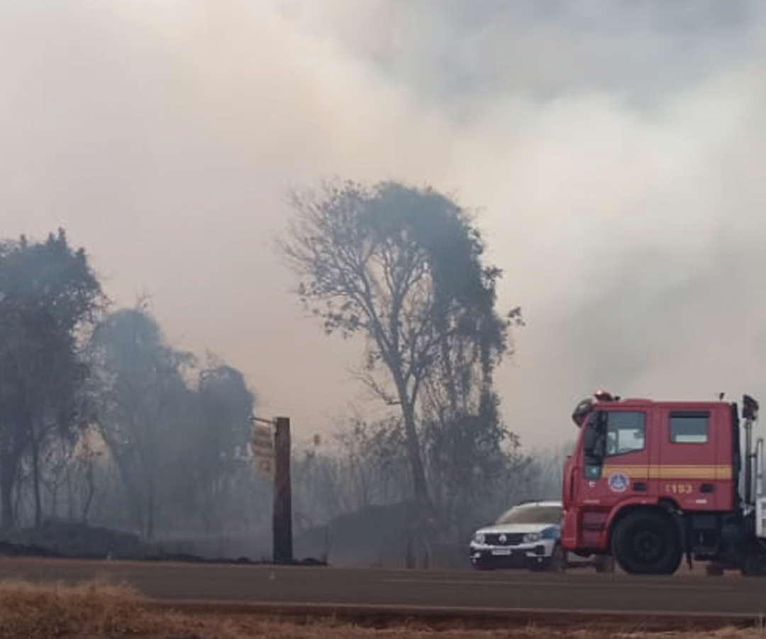 Incêndio de grandes proporções atinge vegetação às margens da BR-154, em Ituiutaba
