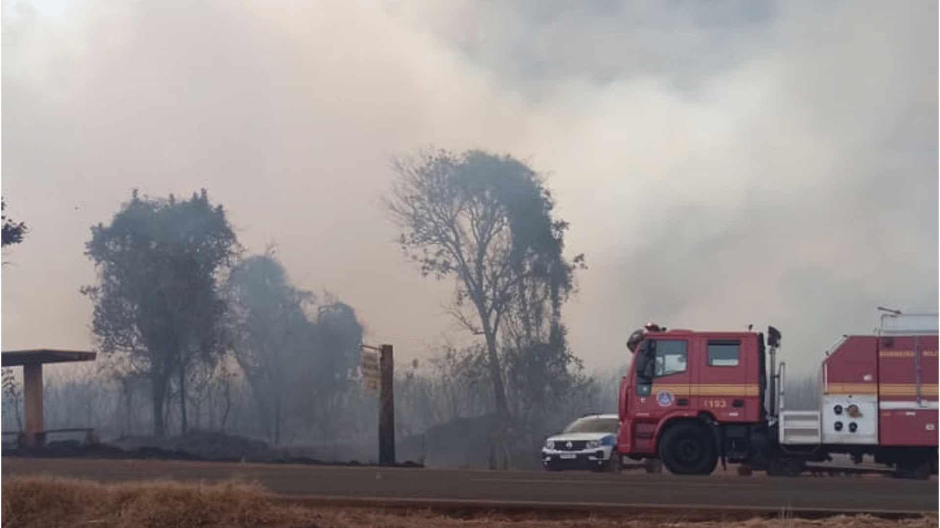 Incêndio de grandes proporções atinge vegetação às margens da BR-154, em Ituiutaba