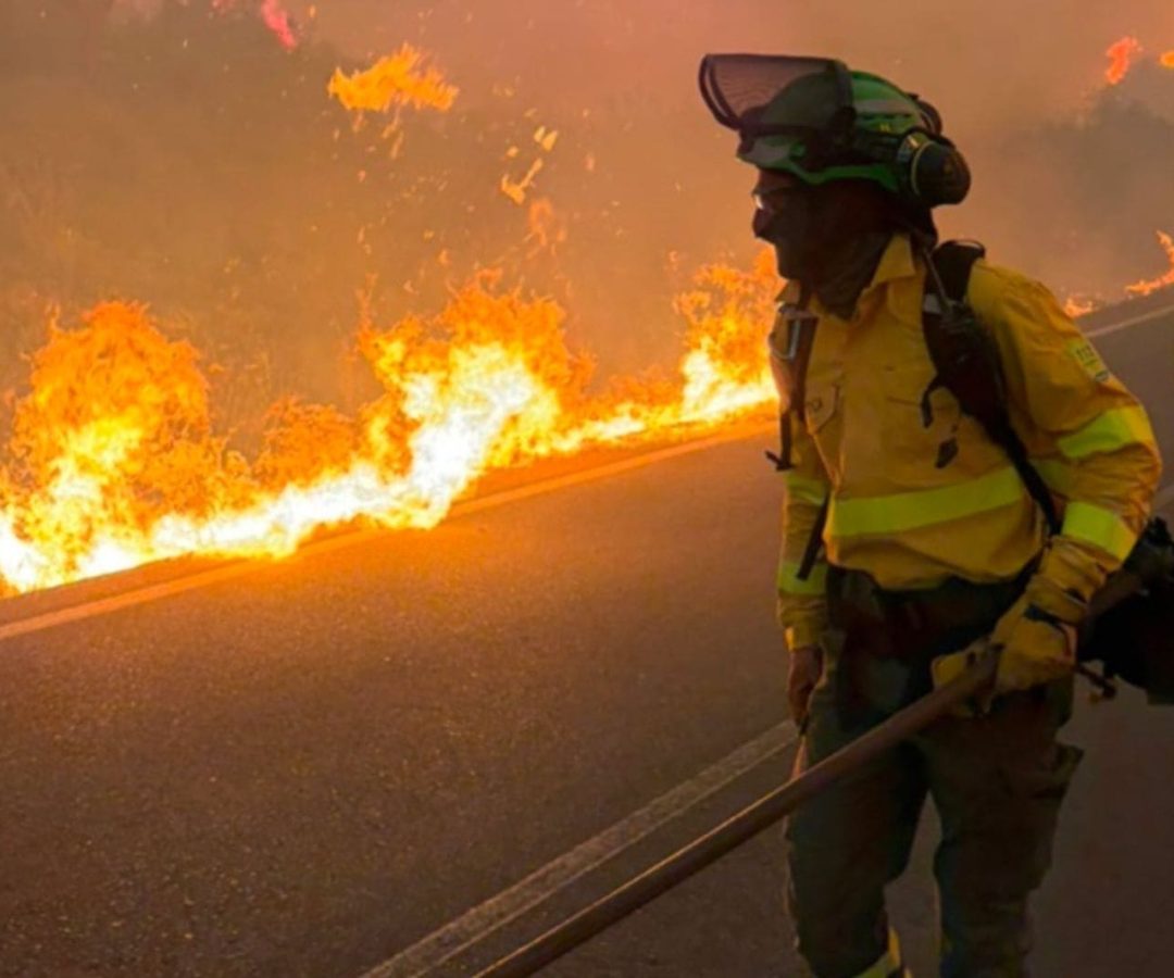 incêndio florestal na Espanha