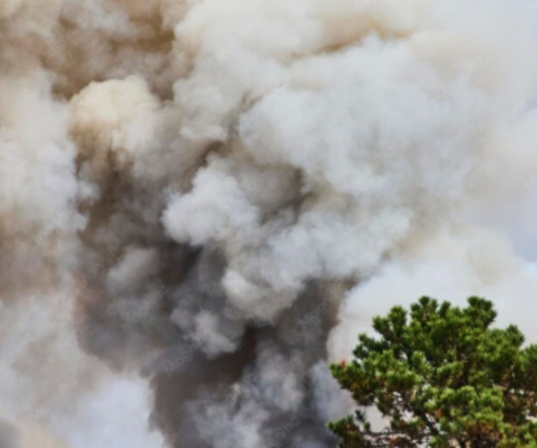 incêndio florestal na Flórida