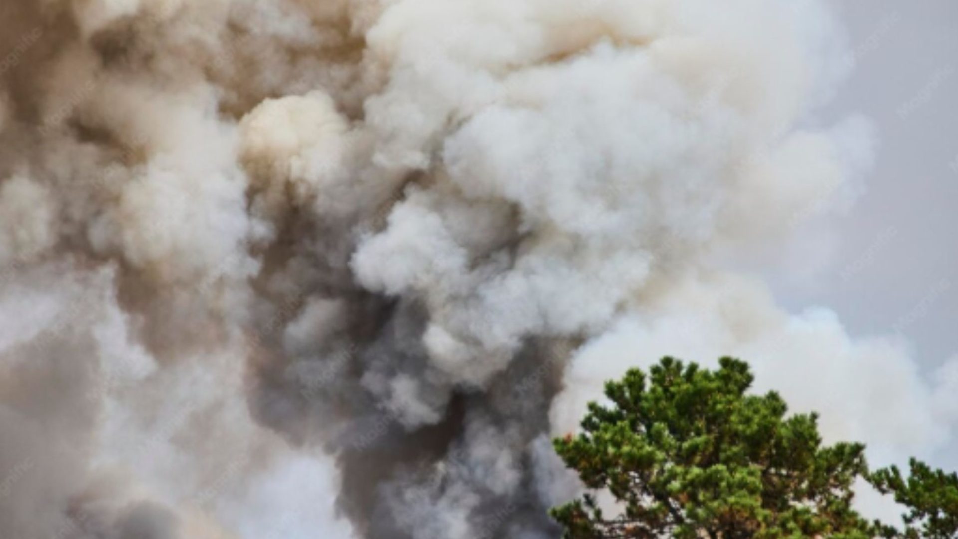 incêndio florestal na Flórida