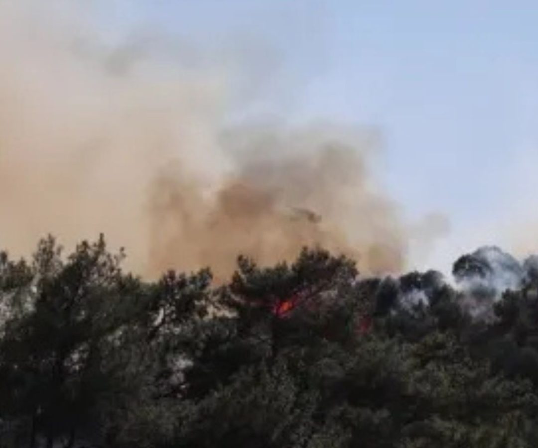 incêndio florestal na Grécia