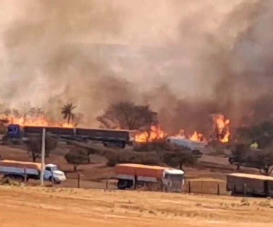 Incêndio avança em mata e ameaça indústrias em Uberlândia