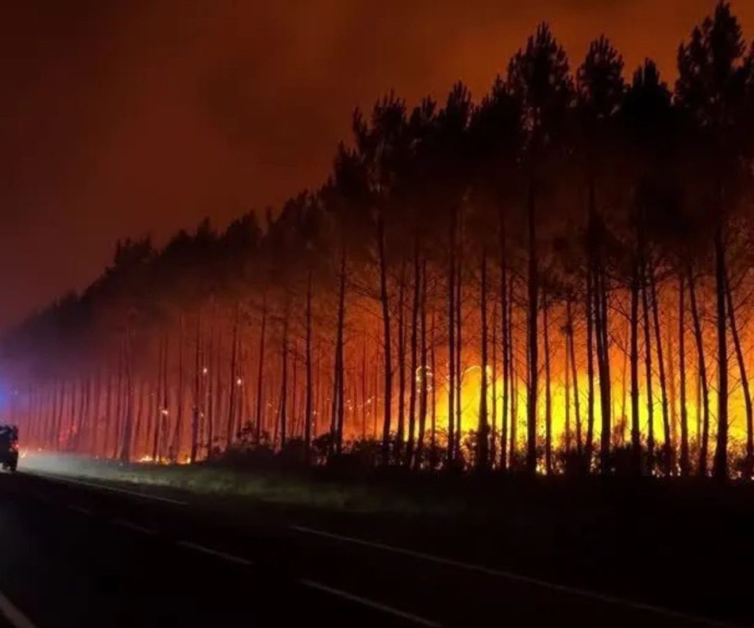 incêndios florestais