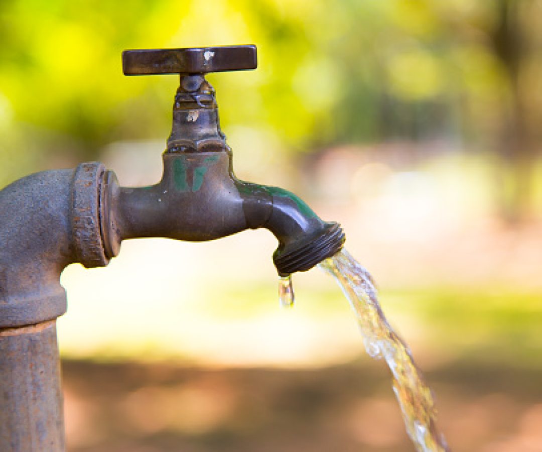 Foto: Reprodução internet