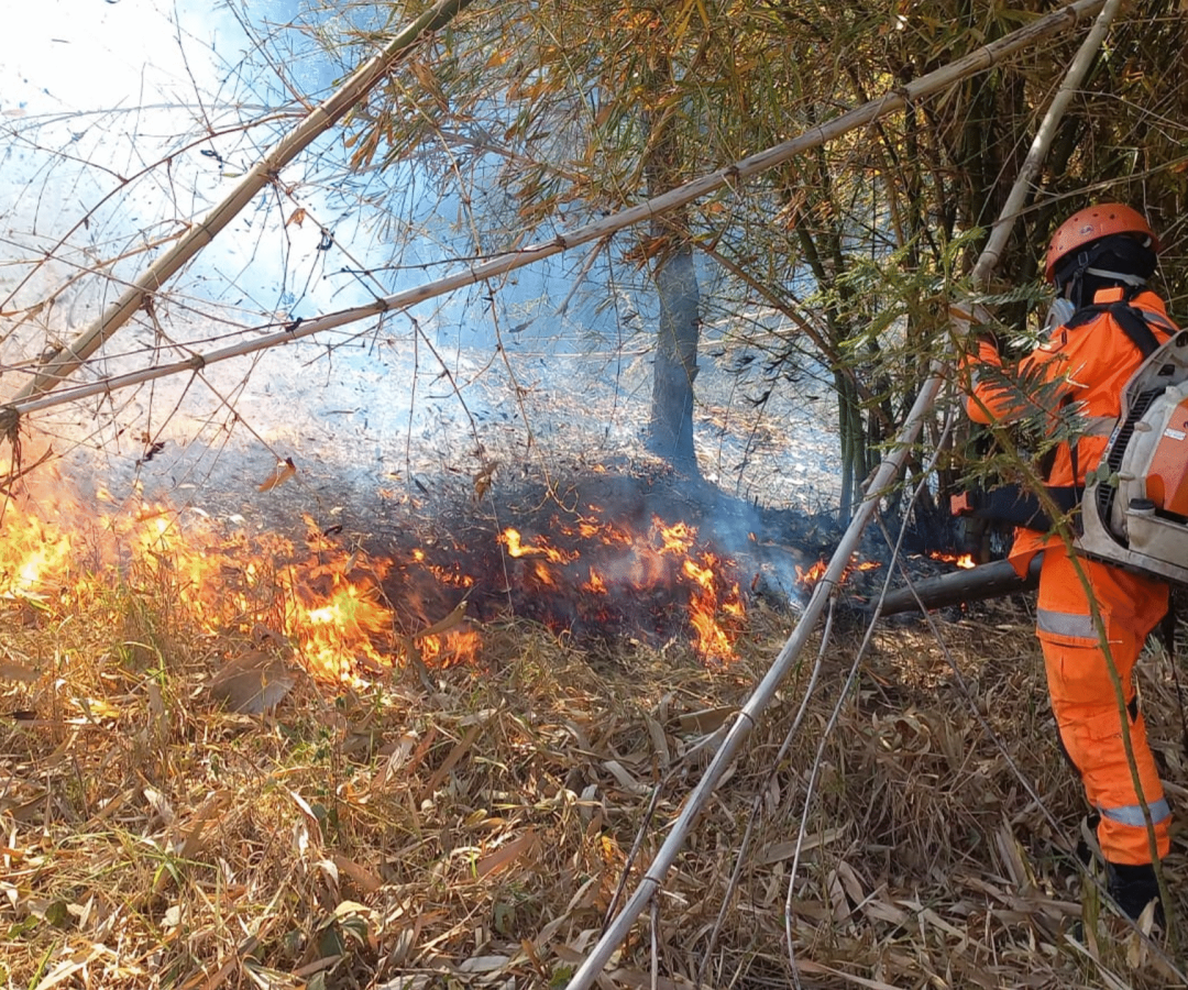 Bombeiros de Ituiutaba controlaram incêndio em vegetação no bairro Nova Ituiutaba 3