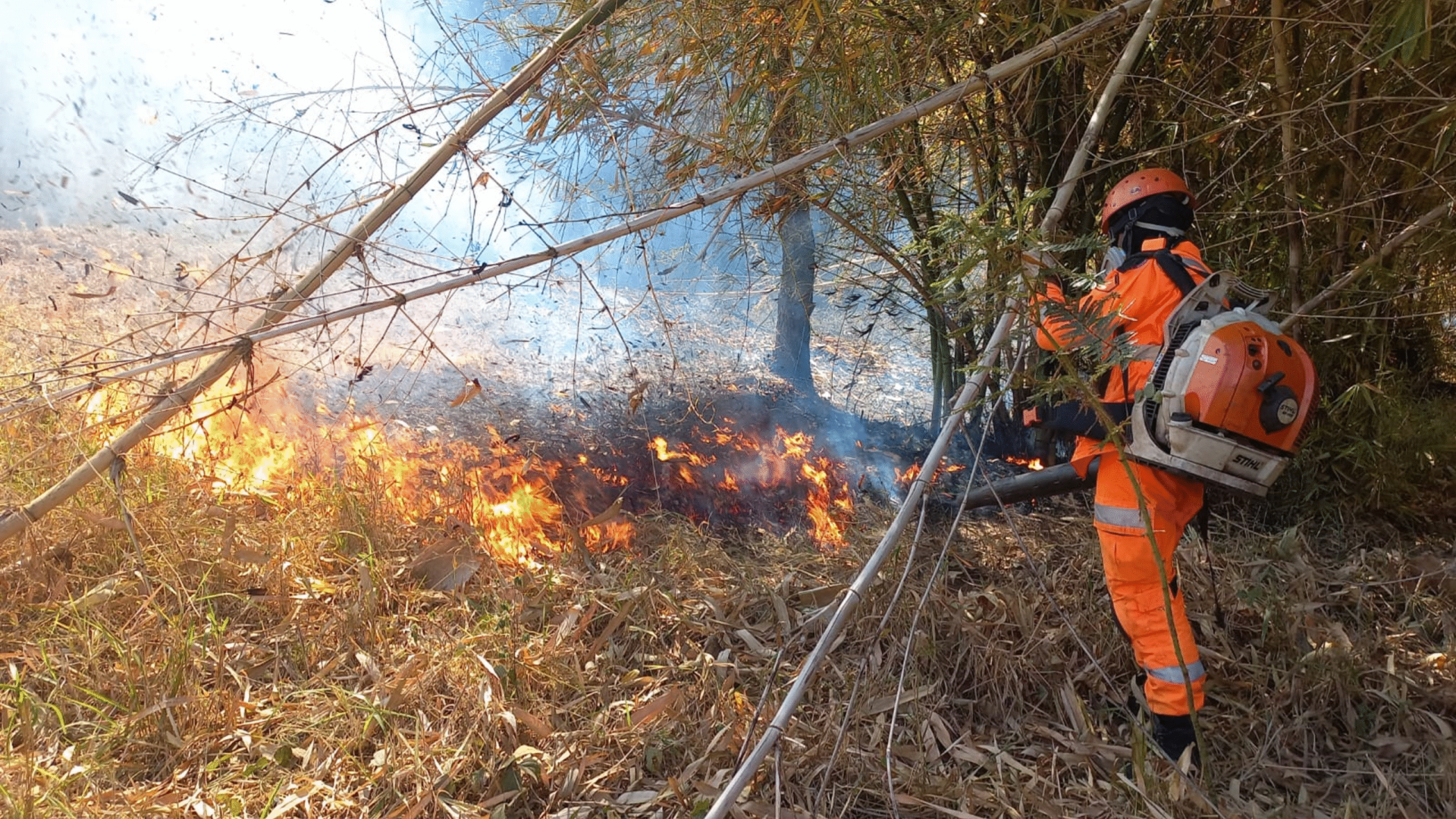 Bombeiros de Ituiutaba controlaram incêndio em vegetação no bairro Nova Ituiutaba 3