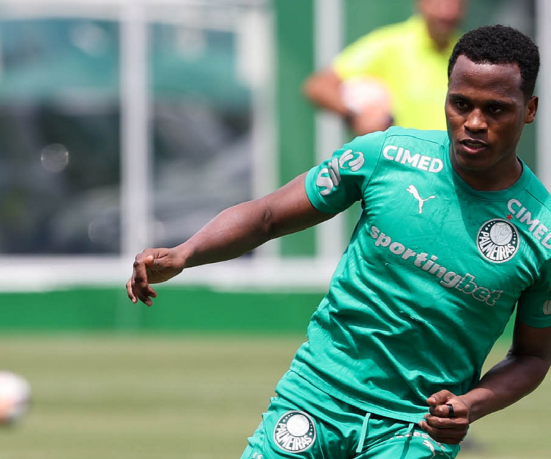 Foto: Cesar Greco / Palmeiras / by Canon