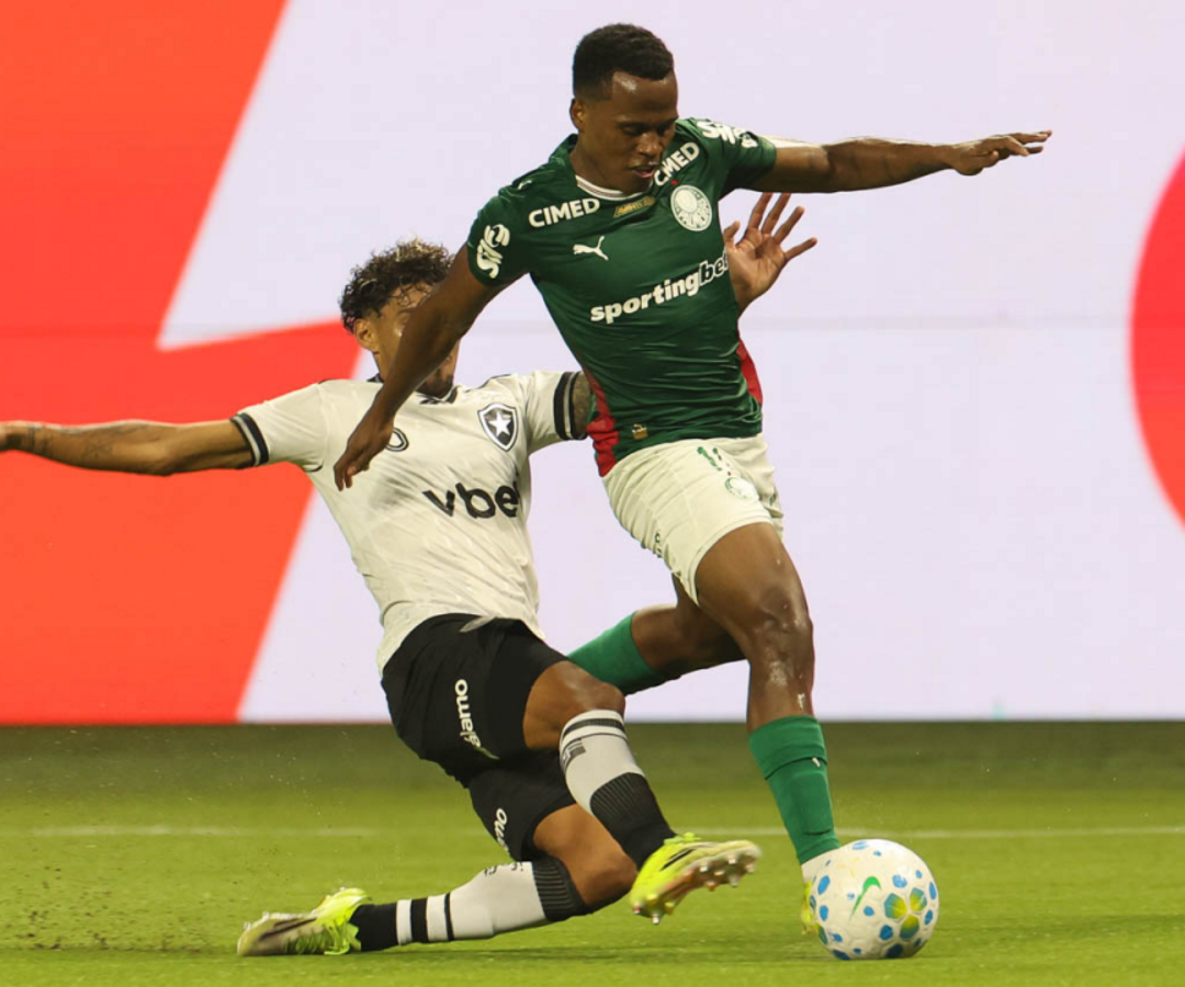 Foto: Cesar Greco / Palmeiras / by Canon