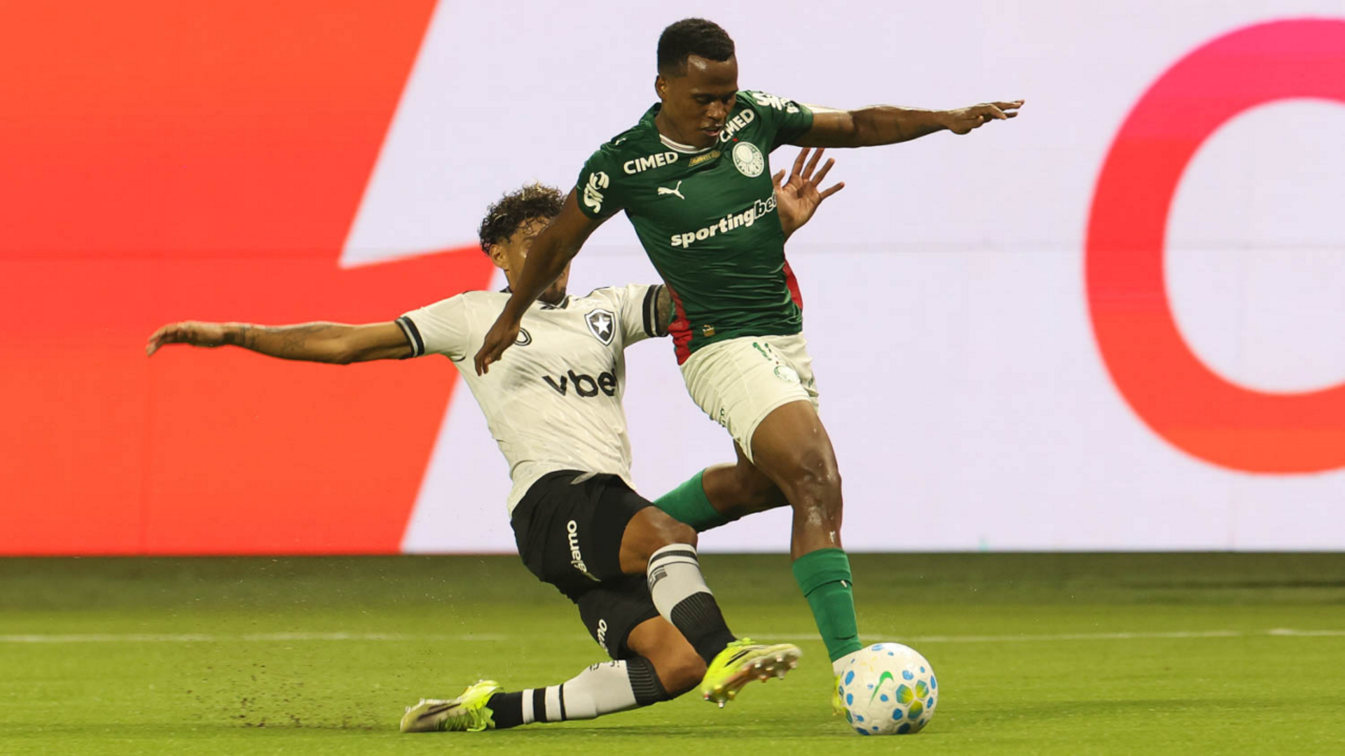 Foto: Cesar Greco / Palmeiras / by Canon