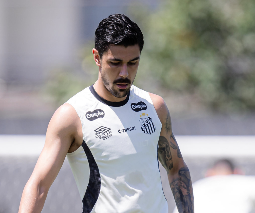 Foto: Raul Baretta / Santos FC