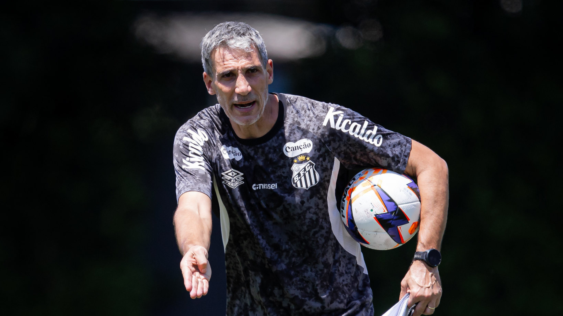 Foto: Raul Baretta / Santos FC