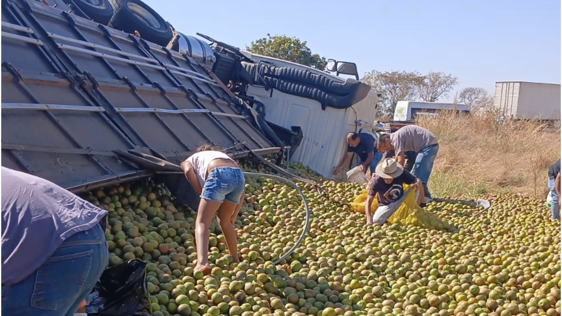 Carreta carregada com laranjas tomba na LMG-798, em Uberaba
