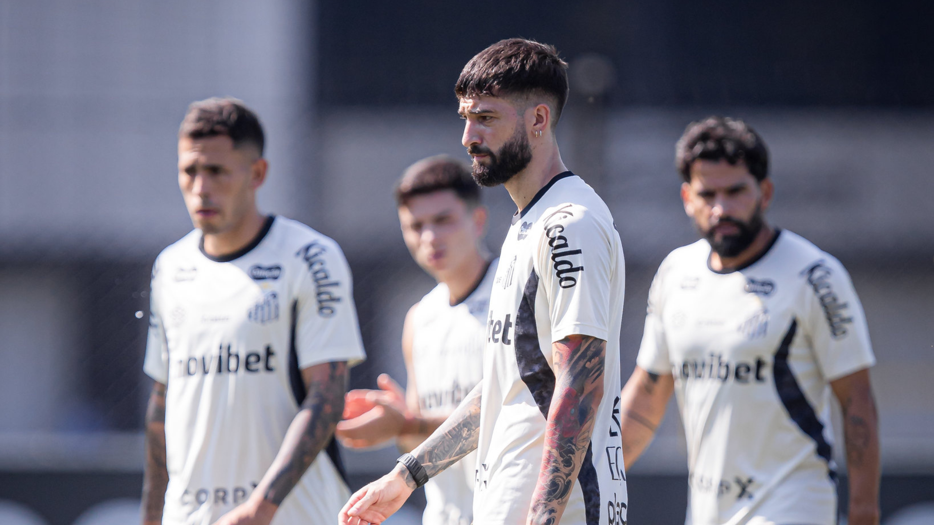 Foto: Raul Baretta / Santos FC