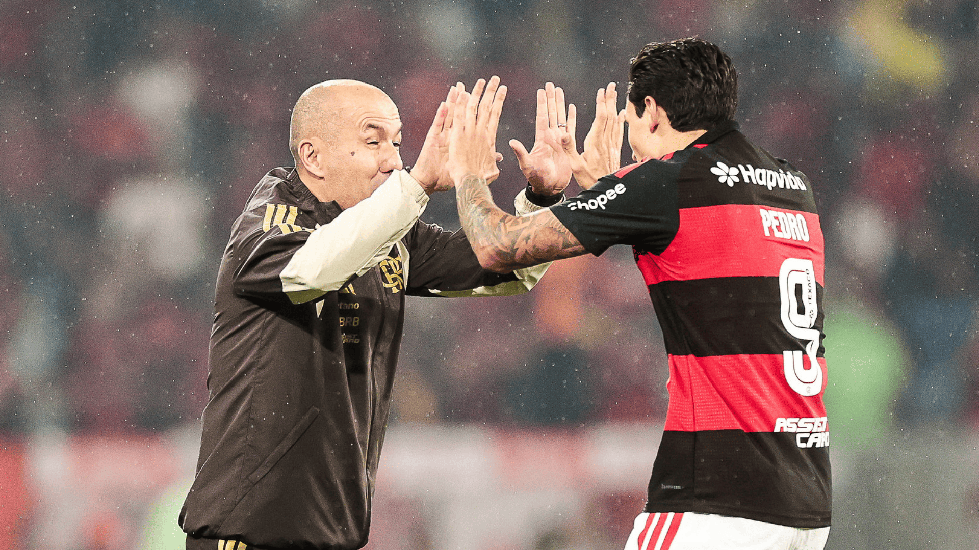 Foto: Gilvan de Souza / Flamengo