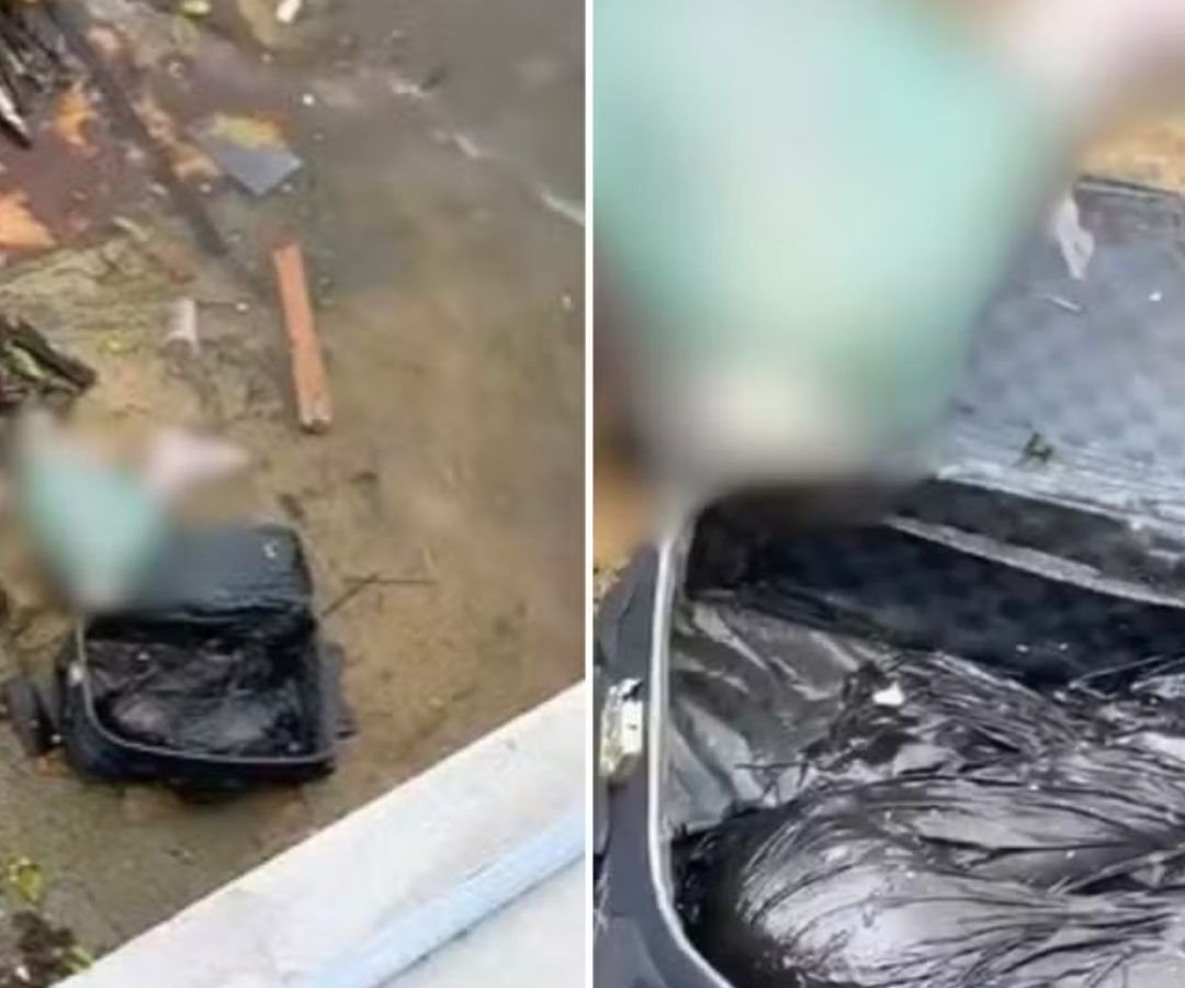 mala com partes de corpo em São Vicente