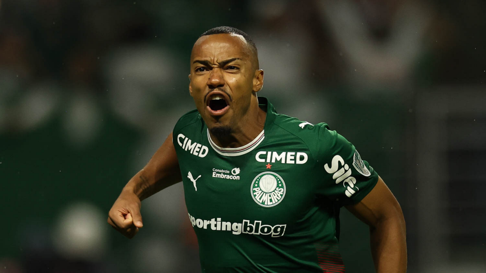 Foto: Cesar Greco / Palmeiras / by Canon