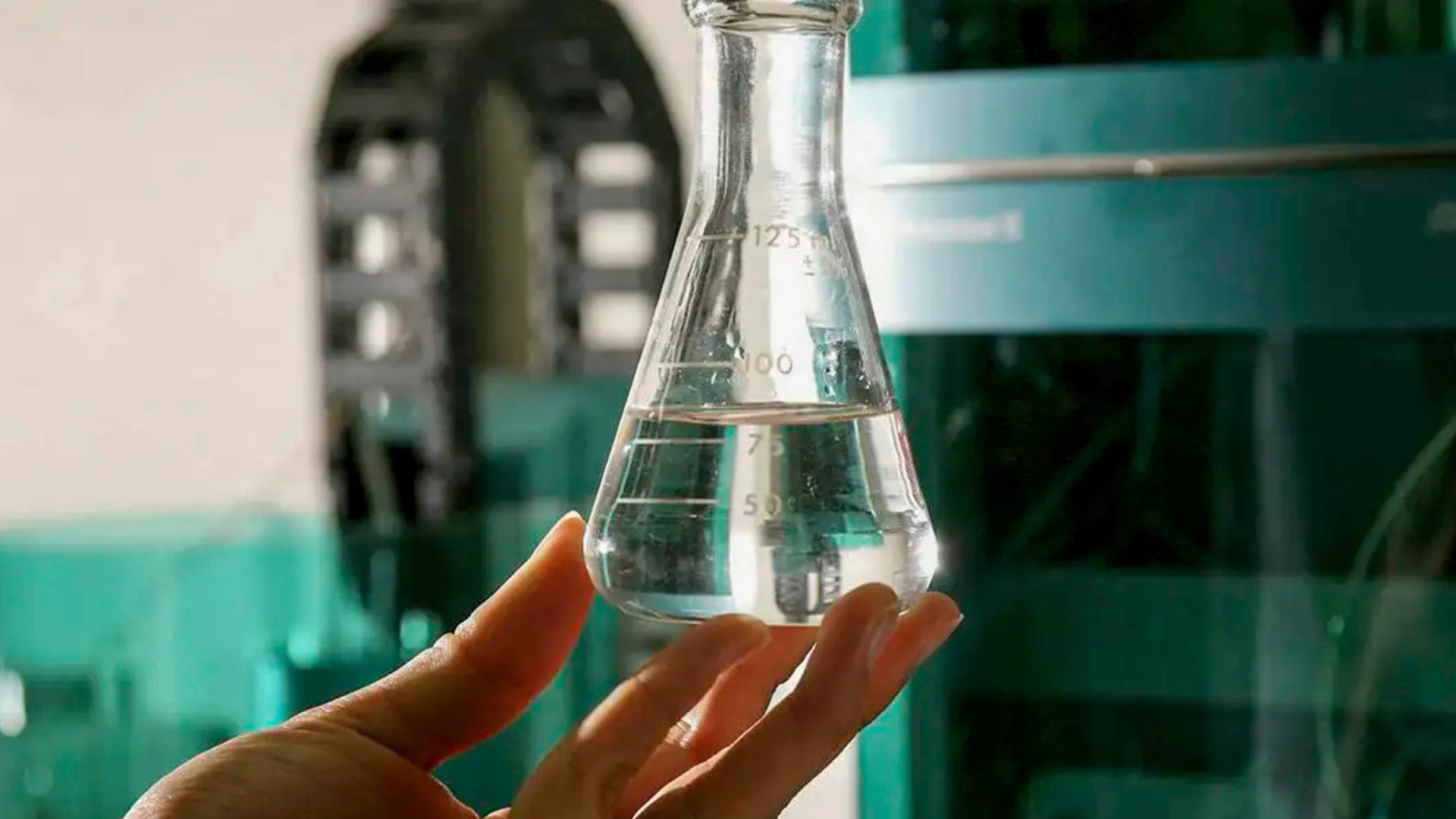 Foto: Biodiesel Brasil / Reprodução