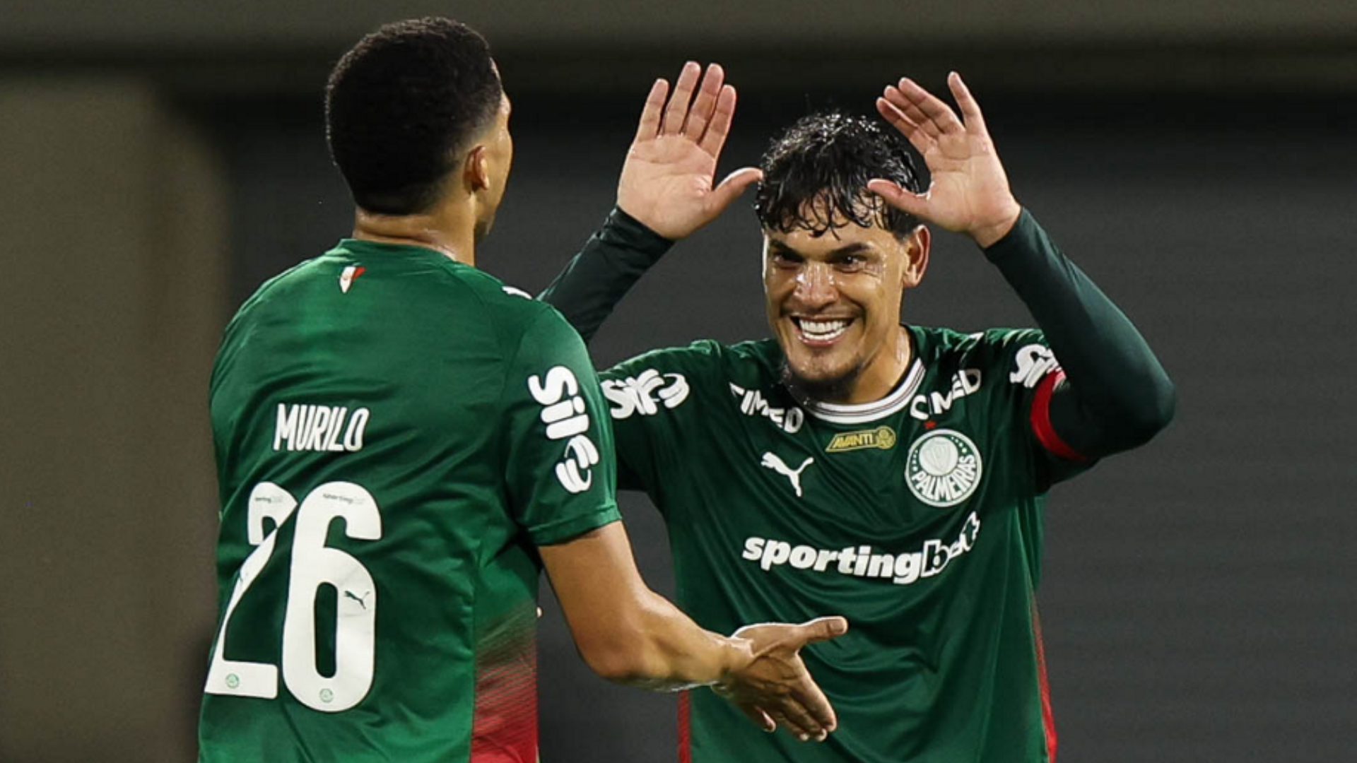 Foto: Cesar Greco / Palmeiras / by Canon