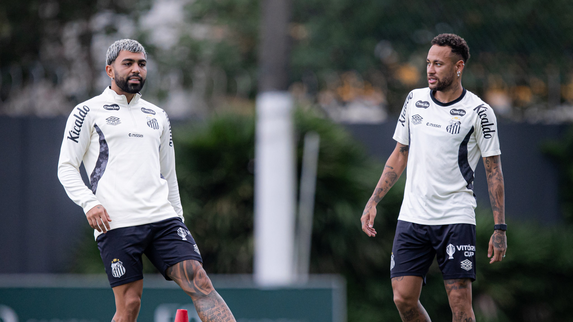 Foto: Raul Baretta / Santos FC