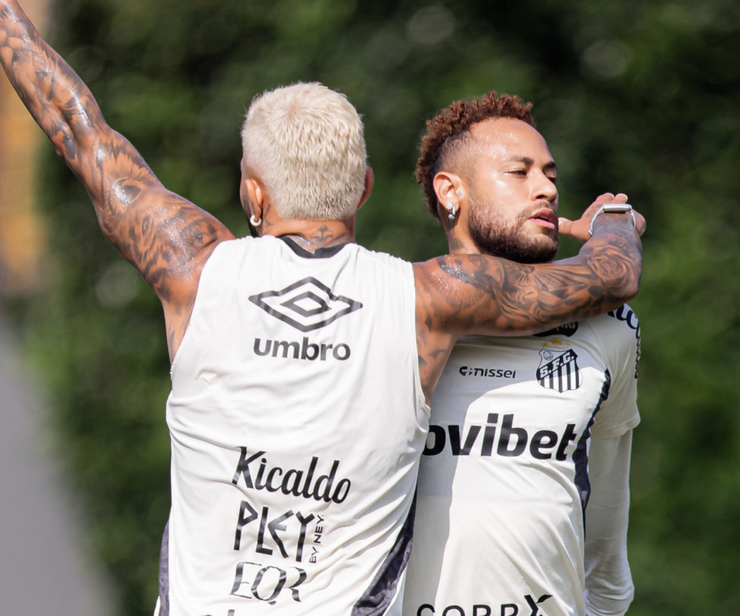 Foto: Raul Baretta / Santos FC