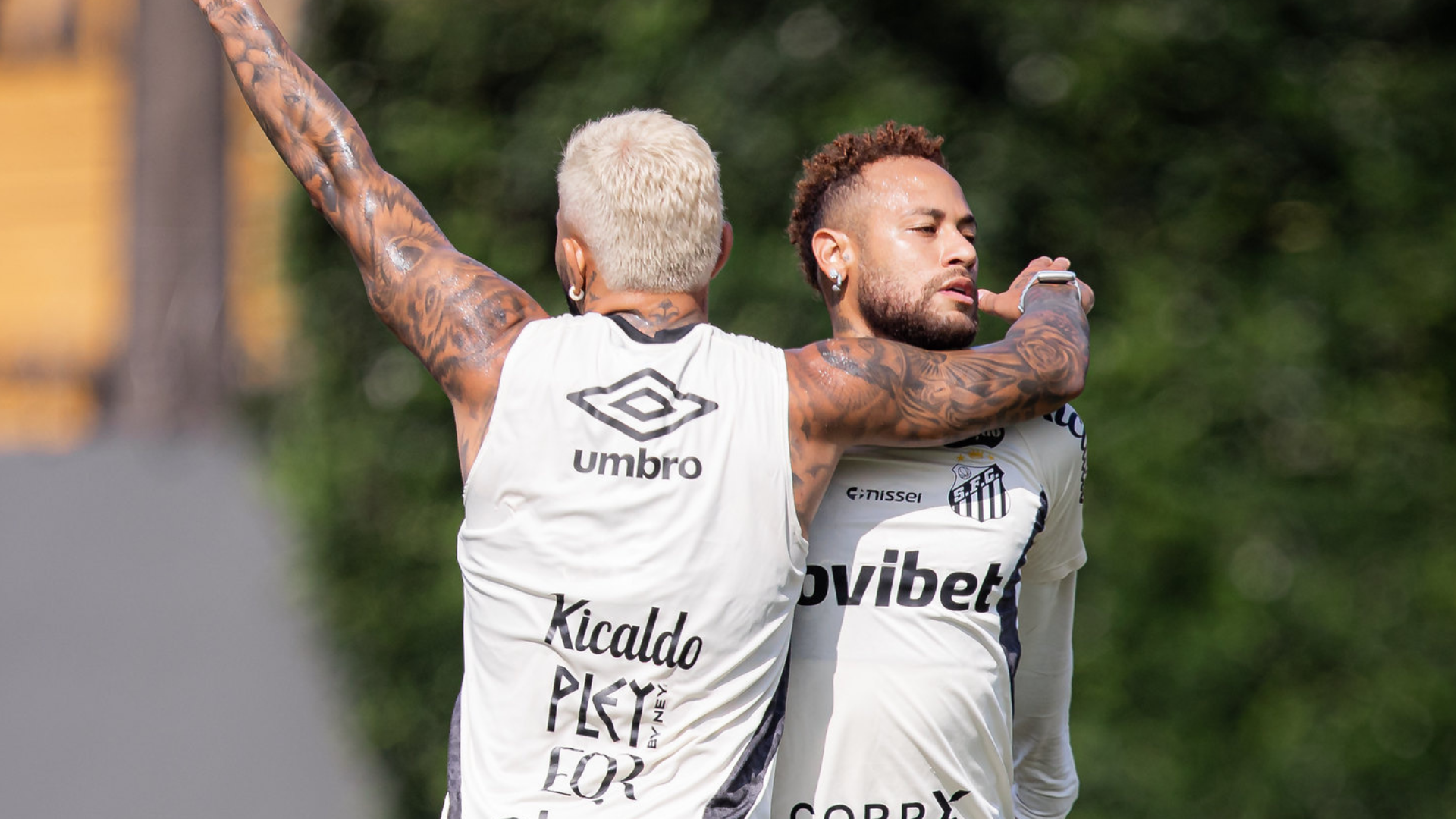 Foto: Raul Baretta / Santos FC