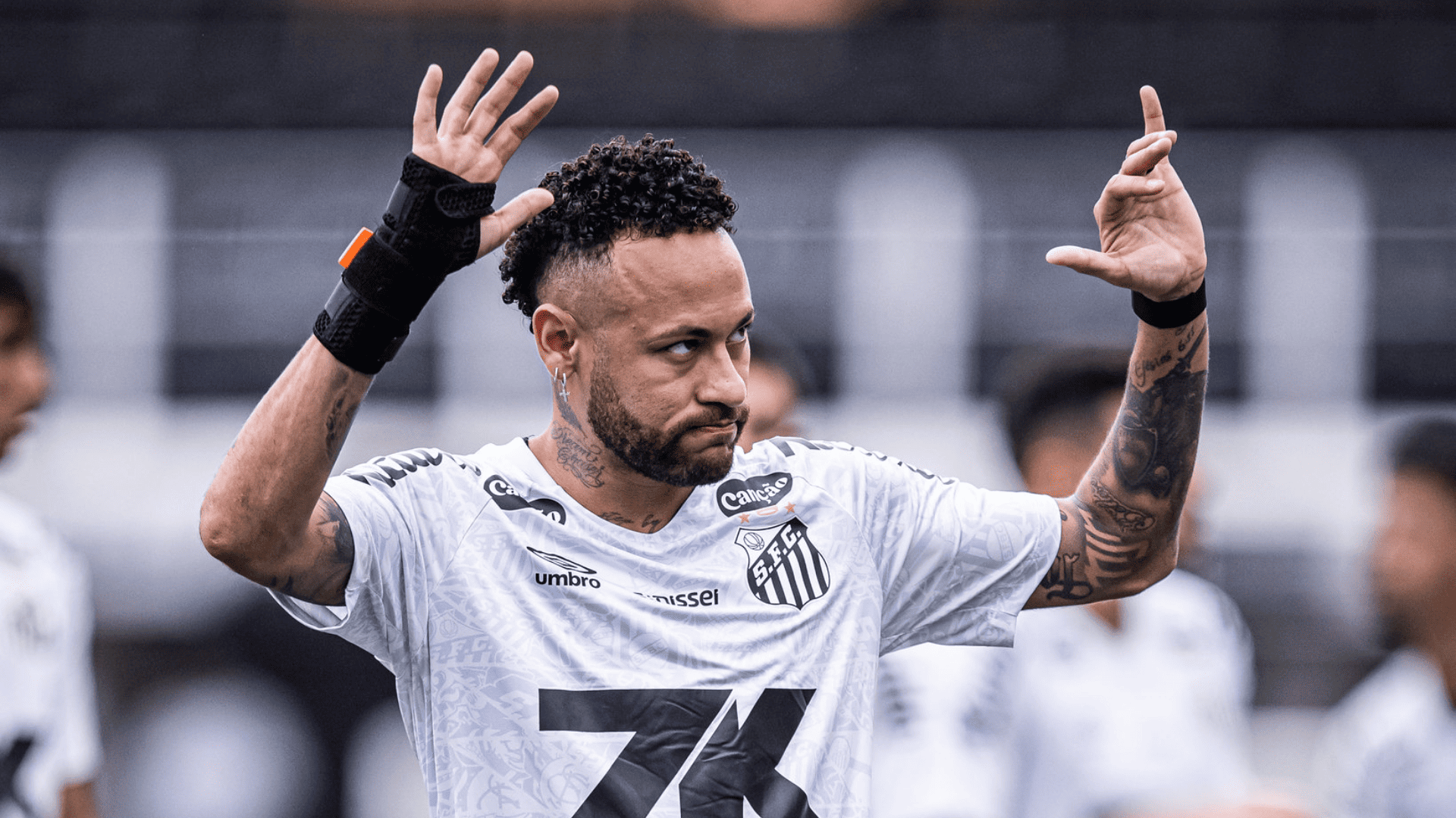 Foto: Raul Baretta / Santos FC